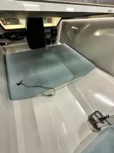 Thumbnail von Goldfish 46 Open Goldfish 46