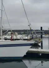 Thumbnail von Tayana 55 Tapestry