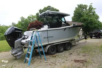 Thumbnail von Blackfin 272 CC