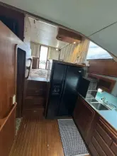 Thumbnail von Ricker 48 Convertible