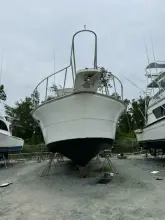 Thumbnail von Ricker 48 Convertible