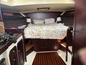 Thumbnail von Santa Cruz Coastal Flyer SARAH