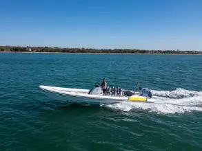 Thumbnail von Scorpion Serket 92 No.10