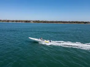 Thumbnail von Scorpion Serket 92 No.10