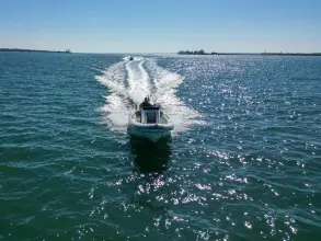 Thumbnail von Scorpion Serket 92 No.10