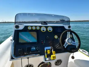 Thumbnail von Scorpion Serket 92 No.10