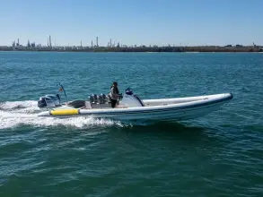 Thumbnail von Scorpion Serket 92 No.10