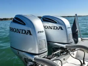 Thumbnail von Scorpion Serket 92 No.10