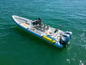 Thumbnail von Scorpion Serket 92 No.10