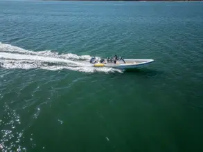 Thumbnail von Scorpion Serket 92 No.10