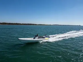 Thumbnail von Scorpion Serket 92 No.10