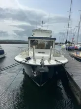 Thumbnail von Botnia Targa 35 Isla Mae