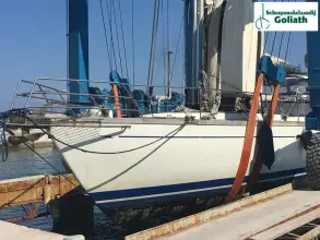 Thumbnail von Cat Ketch 18.30  La Vita