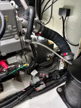 Thumbnail von Leopard 40 CALCOLO