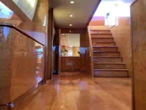 Thumbnail von Arno Leopard Leopard 24 Fly White Star