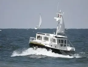 Thumbnail von Pedro Donky 30