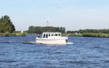 Thumbnail von Pedro Donky 34