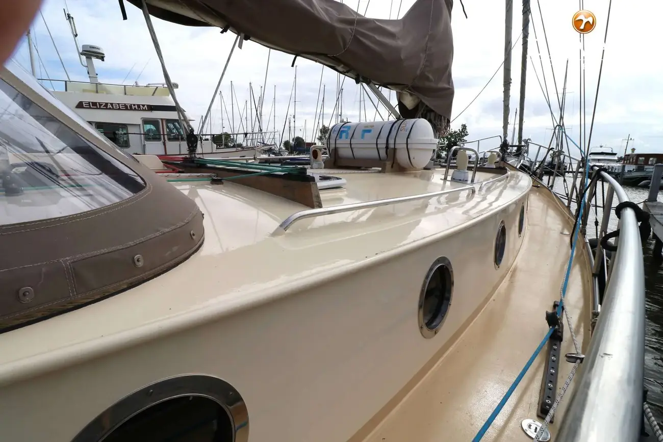 Thumbnail von Danish Rose 42