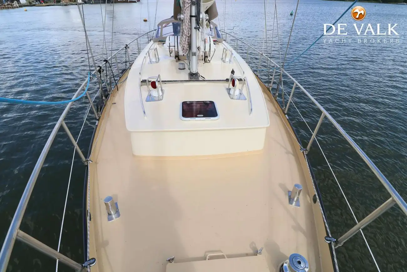 Thumbnail von Danish Rose 42