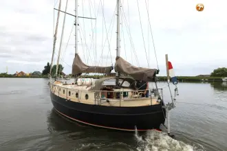 Thumbnail von Danish Rose 42