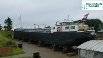 Thumbnail von Tol Spitsgatkotter 38.86 Cygnus