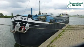 Thumbnail von Tol Spitsgatkotter 38.86 Cygnus