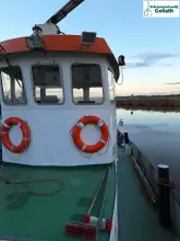 Thumbnail von Custom 55