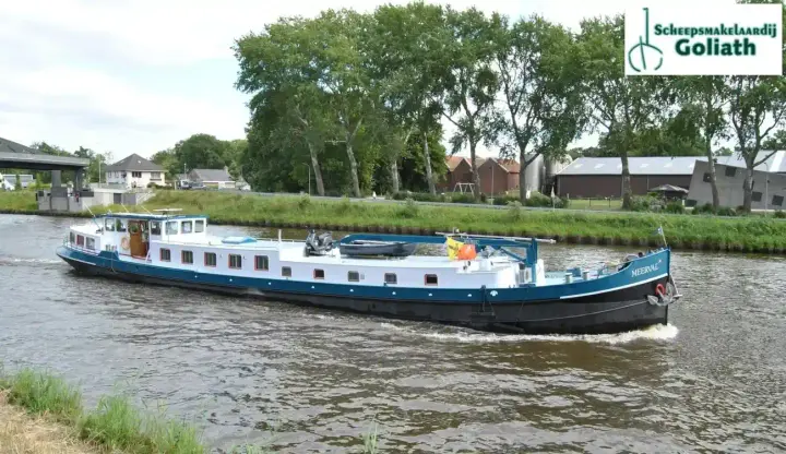 Luxe Motor 35.00 Meerval