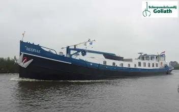 Thumbnail von Luxe Motor 35.00 Meerval