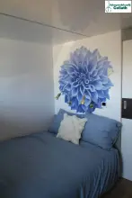 Thumbnail von Campi 340