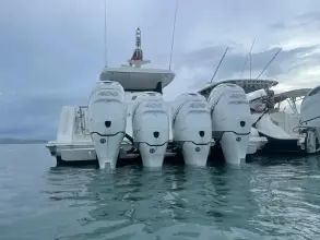 Thumbnail von Ocean Alexander 45 Divergence