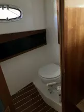 Thumbnail von Mathews Patriot 29  Claw