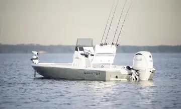 Thumbnail von Skeeter SX 221