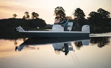 Thumbnail von Skeeter SX 221