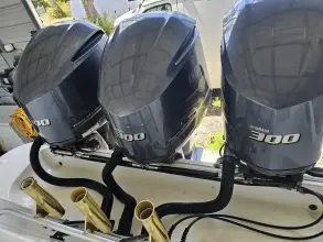 Thumbnail von Hydra Sports 33 Vector