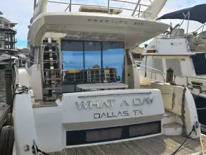 Thumbnail von Prestige 500 What A Day