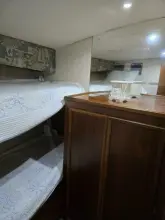 Thumbnail von Egg Harbor Golden Egg Convertible Bad to the Bone