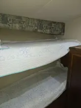 Thumbnail von Egg Harbor Golden Egg Convertible Bad to the Bone