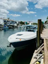 Thumbnail von Intrepid 377 WA