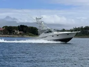 Thumbnail von Tiara Yachts 3800 Open Island Girl