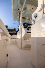 Thumbnail von Grady White 2023-31 SHOOTER