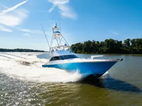 Thumbnail von Viking 68