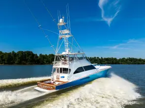 Thumbnail von Viking 68