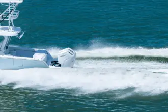 Thumbnail von Bertram 39 CC