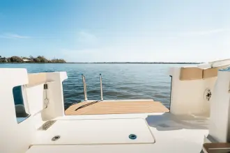 Thumbnail von Scout 400 LXF