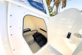 Thumbnail von Boston Whaler 220 Dauntless