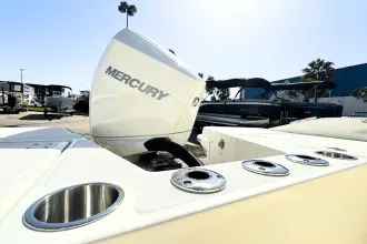 Thumbnail von Boston Whaler 220 Dauntless