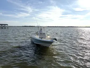 Thumbnail von Boston Whaler 220 Dauntless