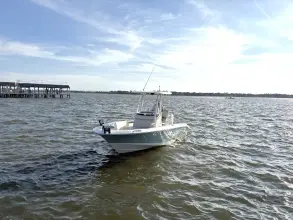 Thumbnail von Boston Whaler 220 Dauntless
