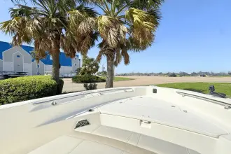 Thumbnail von Boston Whaler 220 Dauntless